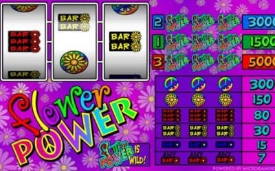 Experience the 70s Vibe with Flower Power Slot Machine!